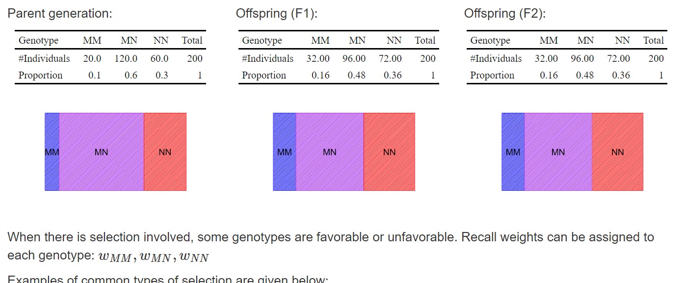 Image from the intervention on understanding selection of genetic traits
